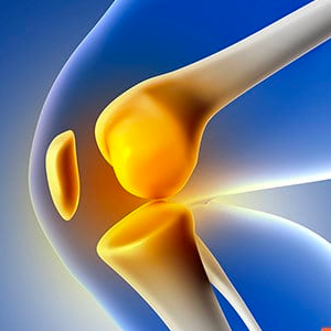 RODILLA Y ENDOSCOPÍA